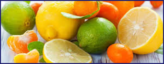 Citrus Pectin — key ingredient in Ikaria Lean Belly Juice